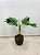Planta Artificial Palmeira X4 - Imagem 1