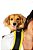 Mochila Yellow Pet Para Cachorro - Tamanho P - Imagem 5