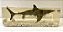 Diorama de Tubarão Branco 2 (Carcharodon carcharias) - Imagem 3