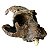 Crânio de (Turkanapithecus kalakolensis) - Imagem 1