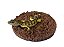 Gecko leopardo (Eublepharis macularius) - modelo 2 - Imagem 2