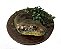 Diorama de Sucuri (Eunectes murinus) - Imagem 4