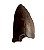 Dente de Purussaurus (Purussaurus brasiliensis) - Imagem 1