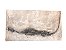 Fóssil de Réptil marinho (Keichousaurus hui) - Imagem 1