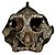 Crânio de Paranthropus aethiopicus - Imagem 1
