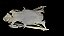Crânio de Naja (Ophiophagus hannah) - Imagem 2