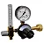 Regulador de Pressão Mod. 300 CO2 Com Fluxômetro SM - Imagem 1