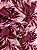 TECIDO VISCOSE ESTAMPADA - Imagem 2