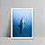 Quadro Golfinho - Imagem 1