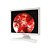 Monitor Vídeo endoscopia profissional Argus Reshin 19" - Imagem 2
