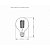 Lampada Filamento De Carbono G 80 40 W 127 V - Tachibra - Imagem 3