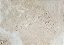 Travertino Bruto Tradicional 61X61 Cx. Com 0,74 m² - Imagem 1