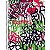 CADERNO 1 MT 80 FOLHAS BOM D+ FEM - Imagem 4
