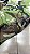CALÇA NIKE SB CAMO CARGO ARMY GREEN - Imagem 4