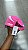 BONÉ PALACE TRI SHELL RUNNER PINK - Imagem 2