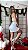 Conjunto Ramona - Imagem 5
