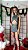 Conjunto Sierra - Imagem 6