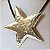 COURINHO PRETO PINGENTE ESTRELA DOURADO - Imagem 2