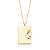 COLAR PLACA ORGANICA COM CRISTAL 3 GARRAS - Imagem 1