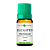 Óleo Essencial Natural Eucalipto - 10ml - Imagem 1