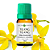 Óleo Essencial Natural Ylang Ylang - 10ml - Imagem 2