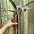 Mistura de substrato para orquídeas, Bokashi KAIRÓS e cachepô - Imagem 3