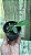 Cattleya aclandiae  Tipo/ Abescens ((   kit com duas)) - Imagem 4