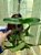 Cattleya Nobilior "Alba x suave x Amaliae planta adulta com avarias lacre 00341627 - Imagem 2