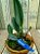 Cattleya walkeriana tipo Feiticerinha com avarias lacre F 1510184 - Imagem 1