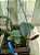 Cattleya walkeriana tipo  Flamea ( Divina x selfie) planta com avarias Lacre F 1510355 - Imagem 2