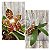 PHALAENOPSIS AMBOINENSIS - Imagem 1