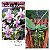 Phalaenopsis equestris x deliciosa - Imagem 1