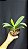 PHALAENOPSIS JOY FAIRY TALE ( COM AVARIAS) - Imagem 2
