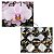 Phalaenopsis schilleriana " MSH " - Imagem 1