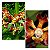 VANDA MERRILLII SPOT PLANTA ADULTA - Imagem 1