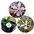 KIT COM 3 ESPECIES DE ORQUIDEAS - Imagem 1