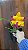 CATTLEYA PLOENPIT CROWN " AMAZING" - Imagem 1