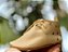Moccs Oxford Estrelinha - Imagem 2