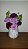 Vaso Bouquet - Imagem 1