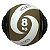 Medicine Ball Com Alça O´Neal 08 kgs - Imagem 1
