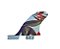 Quilha Similar Mark Richards Twin+ Estabilizador GF2 Cod.23 - Imagem 4