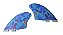 Bi Quilha Keel Fish Retro Old School GF2 Cod10 - Imagem 1