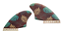 Bi Quilha Keel Fish Retro Old School 17x13 Cm Gft Cod5 - Imagem 1