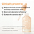 Abib Glutathiosome dark spot serum Vita drop - Imagem 3