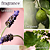 PUREOLOGY Hydrate Shampoo for Medium to Thick Hair - Imagem 5