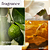 PUREOLOGY Strength Cure Dream Healer Serum for Damaged Hair - Imagem 5