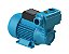 BOMBA DANCOR PERIF/AUTOASPIRANTE = 1/2CV BIVOLTS = DPA-40 - Imagem 1