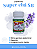 Cápsulas Super Chá SB 60mg ( obesidade) - Imagem 2