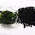 ALGA MARINHA WAKAME - 50g - Imagem 2