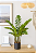 Planta Artificial Zamioculca Real Toque Verde 97cm - Imagem 5